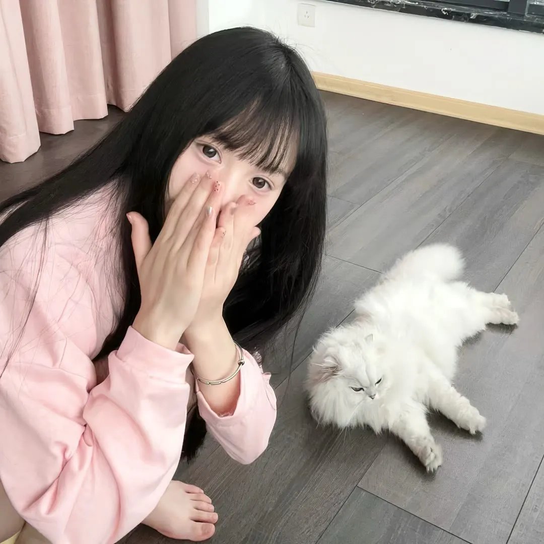 报告医妃 在线观看
