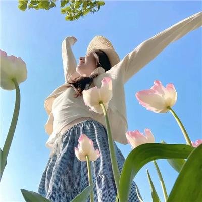 富贵女兵团 在线观看
